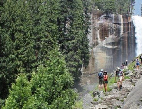 Embracing Nature’s Majesty: A Guide to Hiking in Yosemite National Park